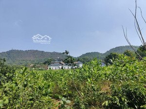 800m2 đất nghỉ dưỡng đẹp - view xanh - sổ đỏ trao tay - tại khu nghỉ dưỡng lâm trường, xã minh phú