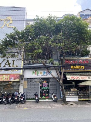bán nhà mt ngay hoàng hoa thám,tân bình - dt: 6x25m - cn: 150m2 - ctxd: hầm 7 tầng - giá 31,5 tỷ
