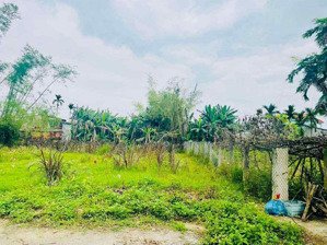 lô đất dt gần 190m2 - giá 7xxtr đường 5m - khu chợ lạc thành điện hồng