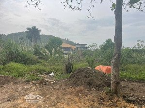 chính chủ bán đất mặt tiền oto tránh giá tốt nhất láng hòa lạc-tuyến metro