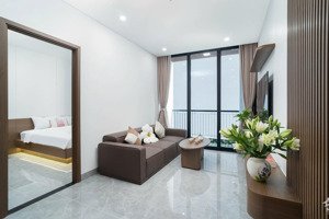 cho thuê căn hộ mini 1pn, 50m2 tại đường nại nam, hòa cường nam, hải châu, 17 triệu