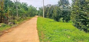 bán gấp 2 lô đất liền kề 2000m2 đất vườn ngay dt741. sát chợ dân đông. giá 190tr/lô