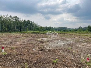 bán gấp lô đất 220m2, sổ đỏ chính chủ, đường ô tô, giá cực tốt