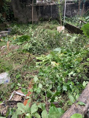 chính chủ gửi bán lô đất đường an thượng - xã an khánh - hà nội . giá 5.146 tỷ