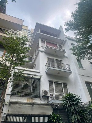 cho thuê nhà liền kề lk3 90 nguyễn tuân, thanh xuân