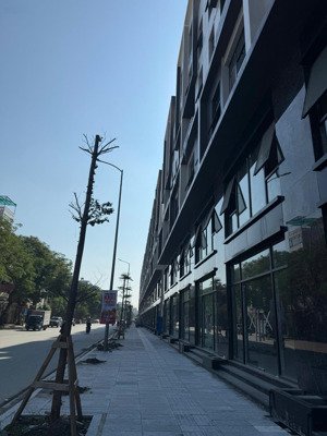 bán shophouse - chân đế tổng kho 3 lạc viên - giá từ 3,6 tỷ - kinh doanh cực đỉnh 