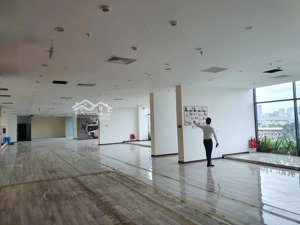 bql cho thuê văn phòng chuyên nghiệp ecolife capital, tố hữu diện tích từ 77m2, 162m2, 300-1000m2