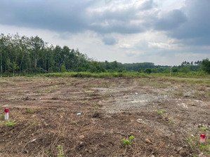 bán đất tại xã lộc quang, lộc ninh, bình phước, chỉ 840 triệu cho 220m2 - chính chủ hàng hiếm