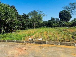 loanh quanh 3 tỷ a/c sở hữu lô đất thổ cư tại yên thái - phú cát -diện tích 168,8m2 full thổ cư -