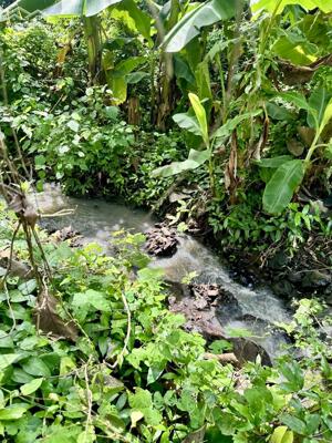 CẦN TIỀN XOAY VỐN CẦN BÁN GẤP ĐẤT 525M2 CÓ HƠN 200M2 THỔ CƯ GẦN SÂN BAY LONG THÀNH.