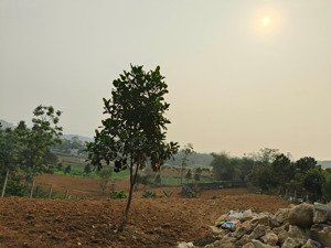 hàng f0 rẻ nhất khánh thượng-đường bê tông trục chính thuộc tuyến 2 tỉnh lộ-thế đất cao-view thoáng