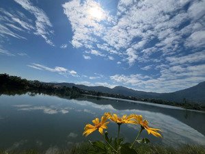 tôi có 4 lô đất tại xã vân hòa muốn bán