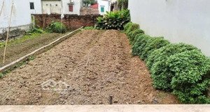 bán đất tại thụy phương, 6,35 tỷ, 54.9m2, giá siêu hời, ô tô đỗ cửa ngõ.