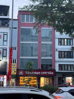 chính chủ bán nhà 93 đào tấn, 4 tầng, doanh thu dòng 55tr hàng tháng, phù hợp kinh doanh buôn bán