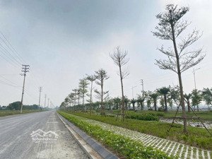 ccn quý ninh - xã an ninh - thái bình