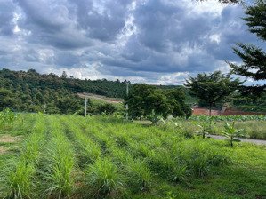 đất lộc an - bảo lâm - dt 5mx22m full thổ cư - giá tốt gần ql20 chỉ 100m