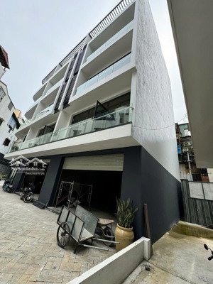 nguyên hồng-biệt thự song lập đẳng cấp 5 sao-lô góc 3 thoáng-an sinh đỉnh-75m-mt 6m-42.5 tỷ