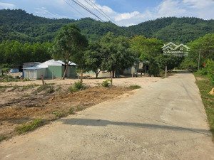 bán đất ba dùi khánh bình khánh vĩnh khánh hoà