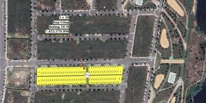 mt quảng ngãi kẹp cây xanh giá gốc cđt sun group sát ngay 2 tòa chung cư