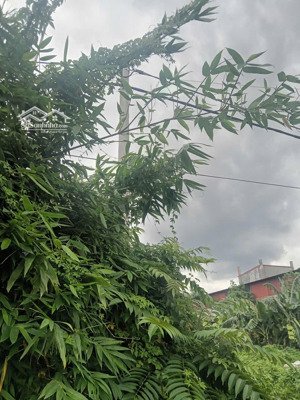 ccn thống nhất - hưng hà - thái bình