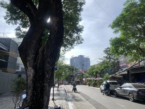 đất đẹp mt trường sơn quận 10, cx bắc hải, dt 203m2 c4 ngang 6.6m, xây building office, 48.5 tỷ