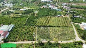 MẶT TIỀN QUANG TRUNG - PHƯỜNG 1 - BẢO LỘC - 1 SÀO CÓ THỔ CƯ GIÁ 2 TỶ 650