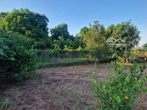 chính chủ cần bán gấp 1233m2 đất khai khoang ngõ 264 âu cơ-phường hồng hà-hà nội(có chia nhỏ) 6.5tr