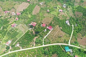 bán trang trại, khu nghỉ dưỡng tại thị trấn chũ, lục ngạn, bắc giang, 3,2 tỷ, 2708 m2 giá tốt