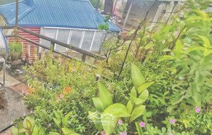 bán nhà riêng 27,7m nhỉnh 200tr/m ngay trung tâm đống đa hà nội