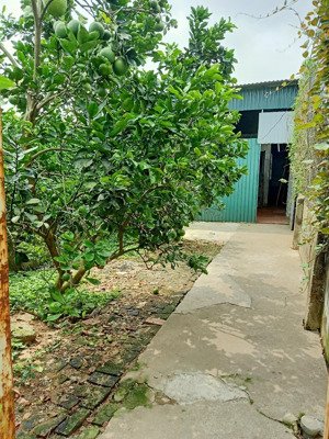 chính chủ cho thuê nhà riêng 82m2 tại đức diễn, phú diễn, bắc từ liêm, hà nội giá rẻ 4tr5/tháng