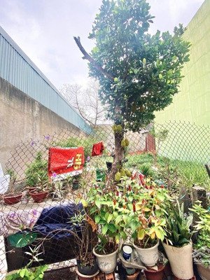 đất phan huy ích, 83m2 (4,5 x 18m) sổ hồng riêng không quy hoạch, giá 5,7 tỷ