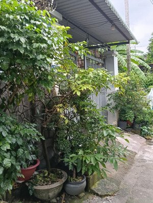 bán nhà riêng 90m2 tại mỹ huề, bà điểm, hóc môn, 3,79 tỷ, view đẹp chỉ với