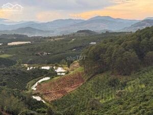 Cần thanh lý lô đất chính chủ m giá 450tr