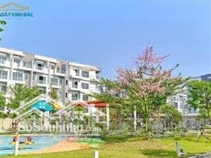 cần tiền bán gấp him lam nhìn vườn hoa giá tốt. đang sẵn gói thuê. lh: 