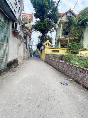 đất rẻ nhất cổ loa, đông anh - ô tô ngủ trong đất - giá chỉ 45tr/m2. gần vin ở sướng