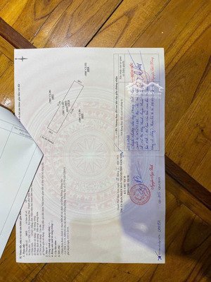chính chủ tôi cần bán lô đất dự án đồng bông sầm sơn , đất đẹp không lỗi gì, kinh doanh bất chấp