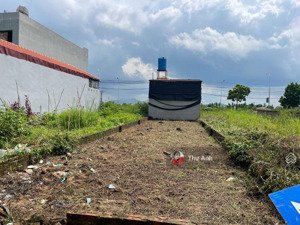 hàng hiếm đấu giá vườn dĩm - kim hoa ngay cạnh vành đai 4 giá chỉ 5x triệu / m2