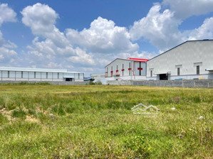 bán đất khu công nghiệp tại huyện bến lức, long an diện tích 12000m2 giá chỉ 4.2$/1m2