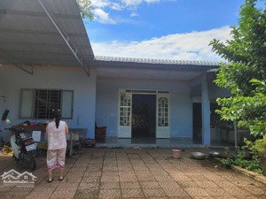 chị gái về quê bán gấp căn nhà ngang 12.8x17 100tc ngay chợ an linh cách dh507 100m 499tr côngchứng