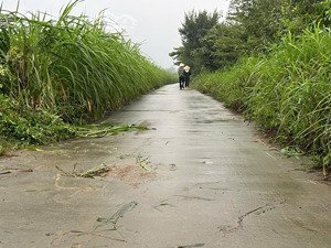 bán đất tặng vườn cây công trình, lô đất vân hòa có 35m mt đường bê tông ô tô chạy, view thoáng mát