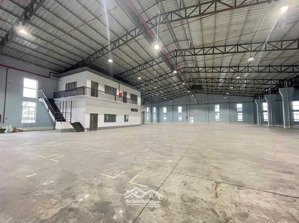 cho thuê kho chứa hàng kcn tân bình diện tích sử dụng 1640m2 giá thuê ưu đãi có kệ để hàng sẵn