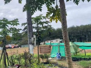 đất thổ cư ngang 10mx57m giá siêu rẻ, gần kcn & ubnd, sổ sẵn công chứng ngay