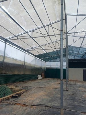 tôi chủ nhà cần cho thuê mặt bằng làm kho, xưởng 300m2 tp đà lạt điện nước đầy đủ giá rẻ