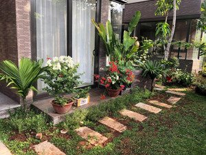 biệt thự full nội thất khu chuyên gia cho thuê tốt sổ hồng 9 tỷ