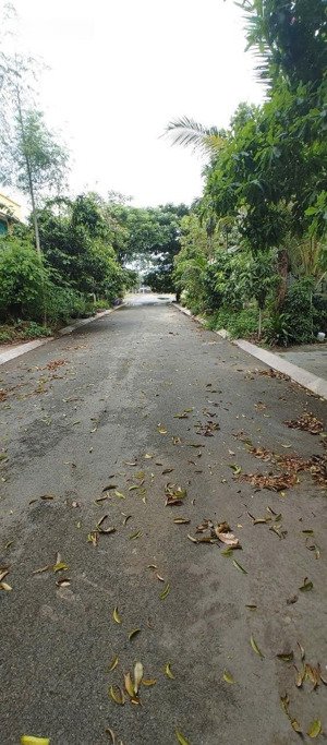 hàng hiếm! duy nhất 1 lô 125m2, giá 6,5 tỷ ngay tt trảng bom, shr, full thổ cư