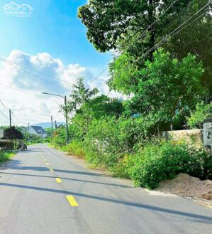  ĐẤT TRUNG TÂM THỊ TRẤN PHƯỚC HẢI – GẦN BIỂN – KHU DÂN CƯ Ở ĐÔNG ĐÚC GIÁ 980Tr