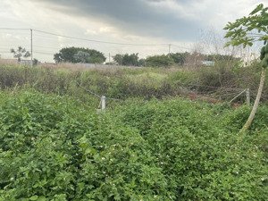 bán đất thới an city, 85 tỷ, 10000m2, giá tốt, mặt tiền 80m, ngõ 5m