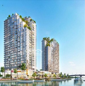 shophouse d-aqua tầng 3 diện tích 103m² | giá chỉ 63 triệu/m²