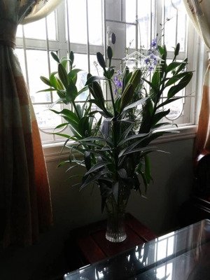 chính chủ cần bán căn hộ 304, nhà a2, tập thể xí nghiệp xây lắp 24, ngõ 68 quan nhân, thanh xuân