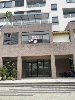 cho thuê shophouse the panorama, phú mỹ hưng, q7 , dt 133m2, giá 65 triệu/tháng